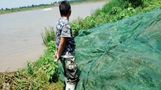 3号神器搞起 2019-06-23 12点场