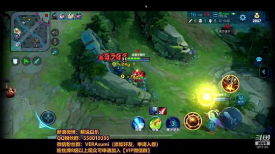 KPL解说白乐 2019-06-19 00点场