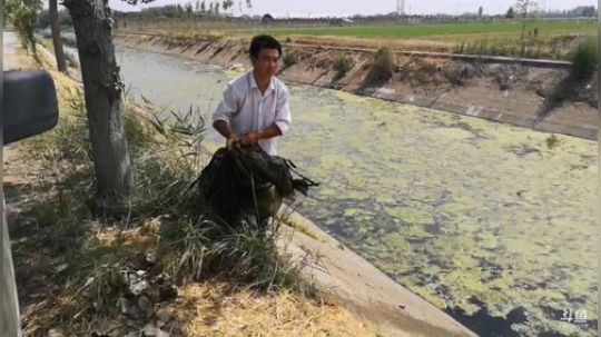 科头溜子发布了一个斗鱼视频2019-06-24