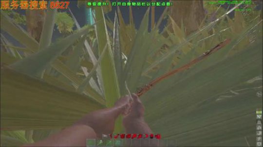 ❤️发现2个新服务器 2019-06-22 14点场