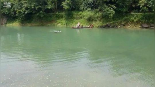 哆啦爱梦梦发布了一个斗鱼视频2019-06-24