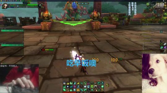 # 狗爷 - 早安 我起床了 2019-06-24 09点场