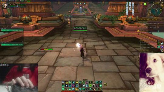 # 狗爷 - 早安 我起床了 2019-06-24 11点场