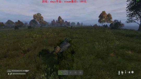dayz standalone1.03 2019-06-23 22点场