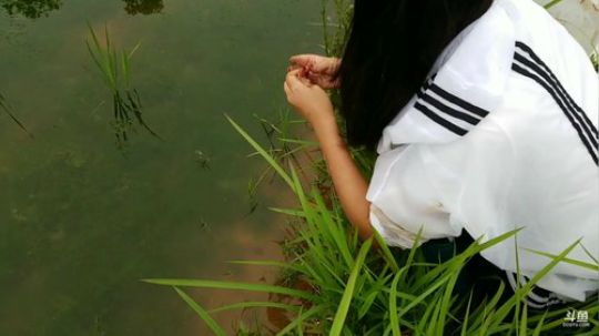 丿Good丶发布了一个斗鱼视频2019-06-26