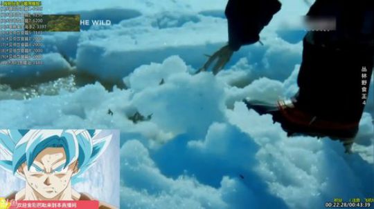 户外遛狗王飞哥发布了一个斗鱼视频2019-06-26