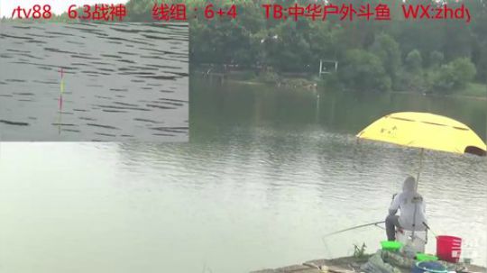 新竿子到货了，陈堡水库钓草鱼 2019-06-26 13点场