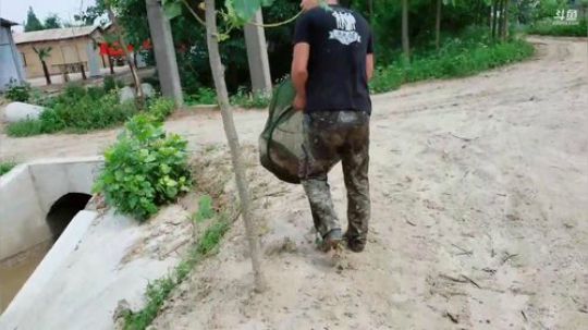 闸口摸鱼了解一下 2019-06-24 13点场