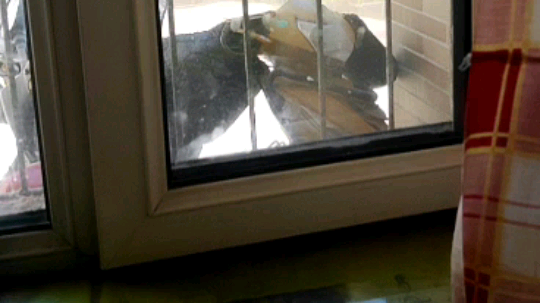 每天早上5点