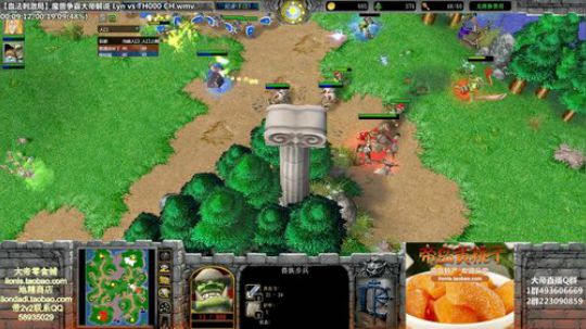 我在斗鱼看大帝LioN直播魔兽争霸