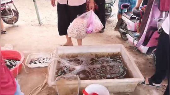 哆啦爱梦梦发布了一个斗鱼视频2019-06-27