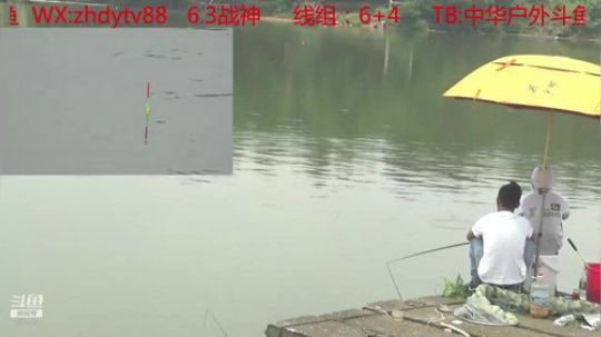新竿子到货了，陈堡水库钓草鱼 2019-06-26 11点场
