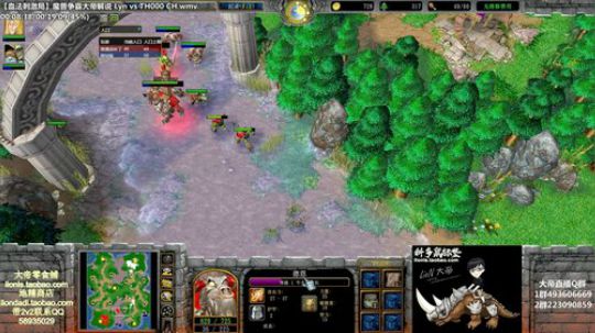 我在斗鱼看大帝LioN直播魔兽争霸