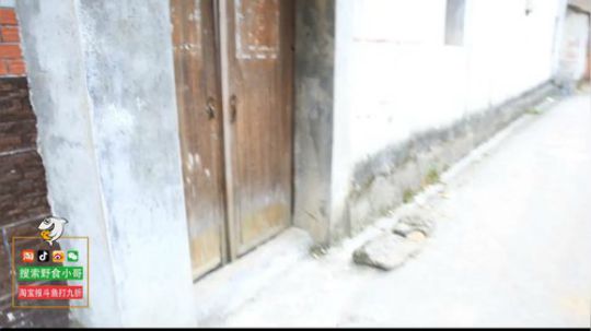 我在斗鱼看野食小哥直播美食