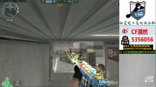 收留728无家可归的大白鲨 2019-06-27 23点场