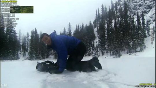 户外遛狗王飞哥发布了一个斗鱼视频2019-06-28