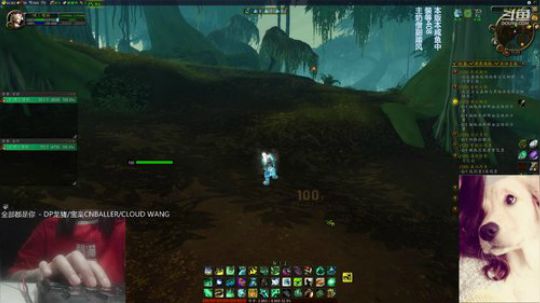 # 狗爷-好累 猫着听会歌 2019-06-26 10点场