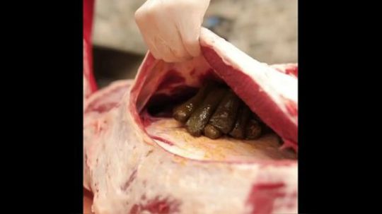 土耳其网红厨师小哥布拉克.奥兹德米尔3