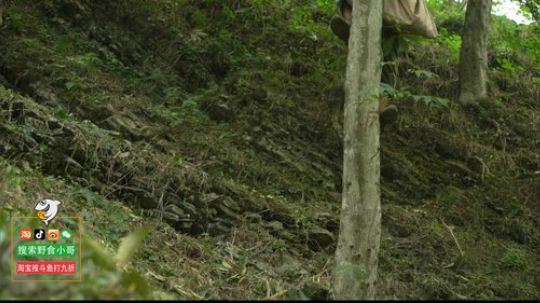 哆啦爱梦梦发布了一个斗鱼视频2019-06-29