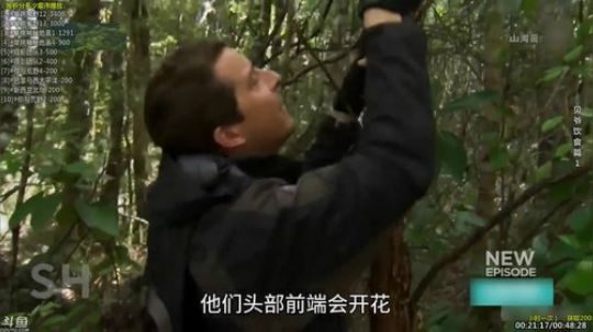 户外遛狗王飞哥发布了一个斗鱼视频2019-06-29