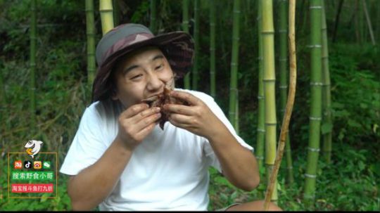 哆啦爱梦梦发布了一个斗鱼视频2019-06-29