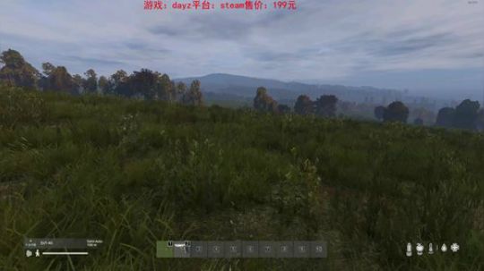 dayz standalone1.03 2019-06-29 01点场