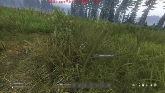 dayz standalone1.03 2019-06-28 21点场