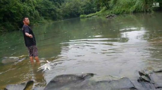 收鱼网啦。 2019-06-30 07点场