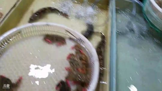 海鲜走起