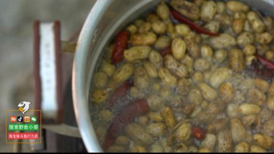 哆啦爱梦梦发布了一个斗鱼视频2019-07-01