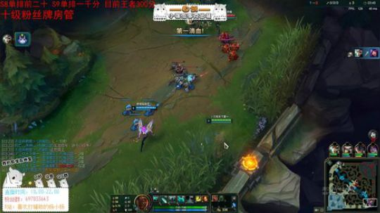 小杨：探究元素女皇琪亚娜辅助的可能性 2019-06-30 21点场