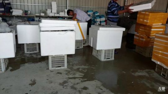 龙马精神丶老狼哥发布了一个斗鱼视频2019-07-01