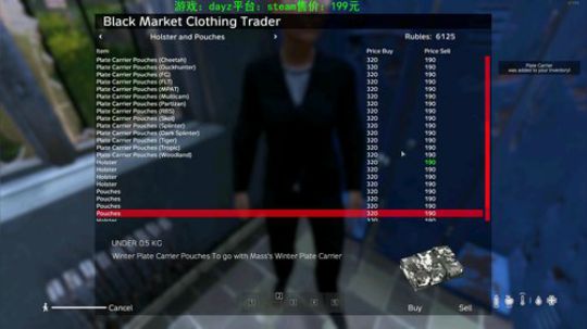 dayz standalone1.04 2019-06-29 18点场