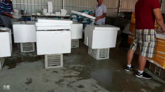 龙马精神丶老狼哥发布了一个斗鱼视频2019-07-01