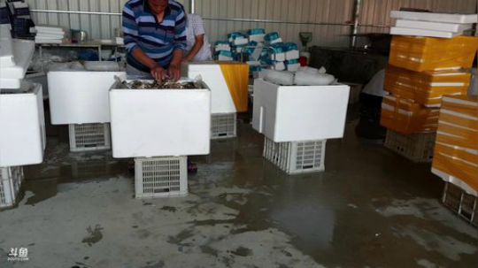 龙马精神丶老狼哥发布了一个斗鱼视频2019-07-01