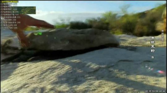 户外遛狗王飞哥发布了一个斗鱼视频2019-07-02