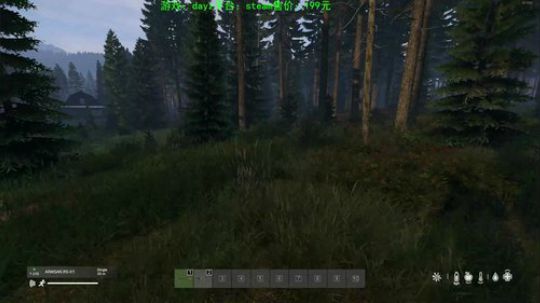 dayz standalone1.04 2019-07-01 18点场
