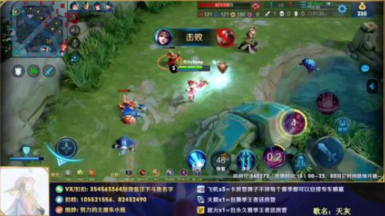 帮粉上王者1