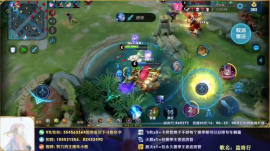 帮粉上王者8