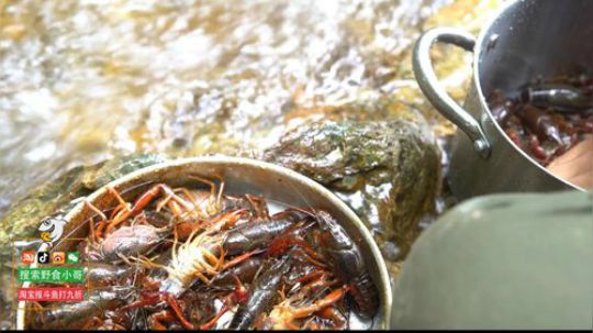 我在斗鱼看野食小哥直播美食