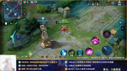 帮粉上王者7
