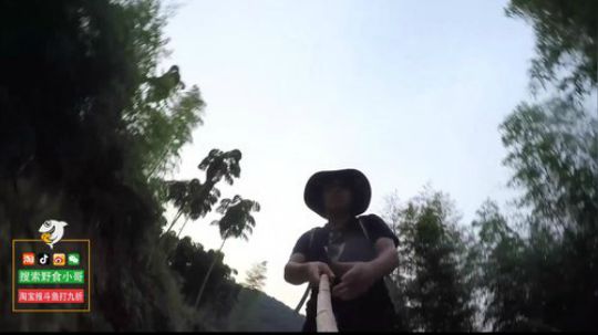 哆啦爱梦梦发布了一个斗鱼视频2019-07-03