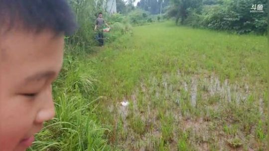 龙虾收割机!!! 2019-07-03 17点场
