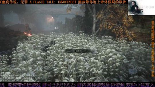 《瘟疫传说：无罪》熊叔萌新入坑 2019-07-03 20点场