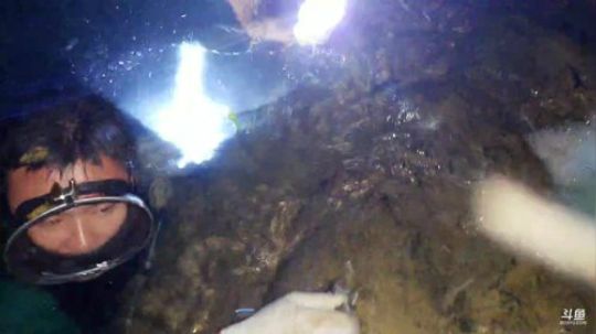 河道鱼多多。 2019-07-04 19点场