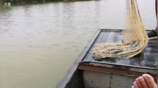 哆啦爱梦梦发布了一个斗鱼视频2019-07-04