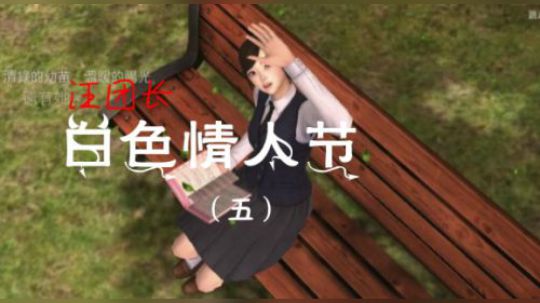 汪团长：白色情人节5