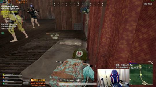 我在斗鱼看pigff直播绝地求生