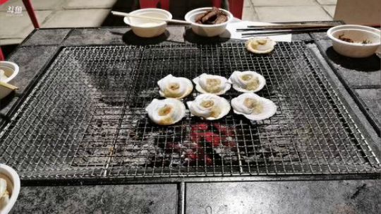 铁血丶苟且君发布了一个斗鱼视频2019-07-05