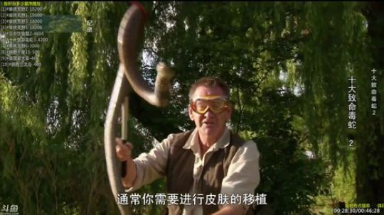 户外遛狗王飞哥发布了一个斗鱼视频2019-07-05